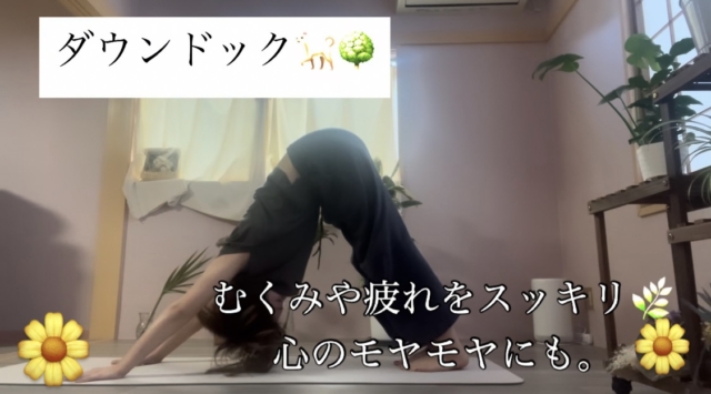 1日1分のヨガを日常に。