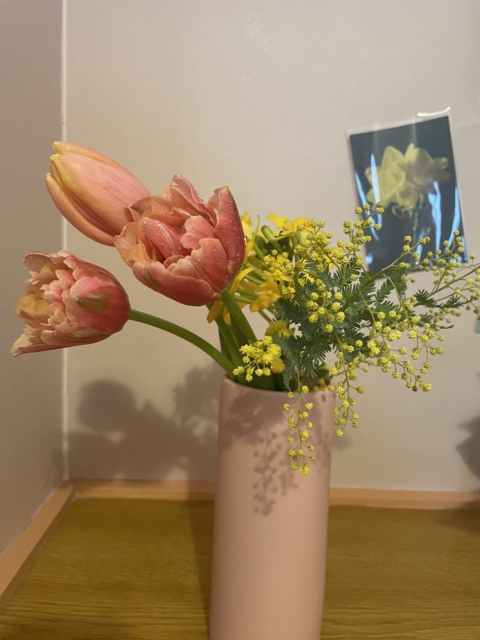 植物たちのパワーも味方につけて🌿🪽