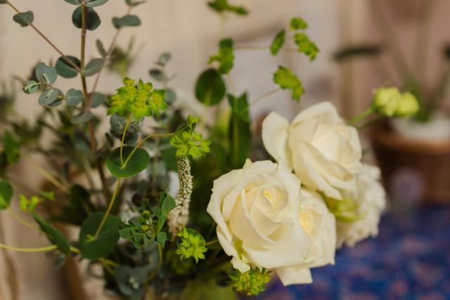 植物たちの繊細で優しく、でも、まっすぐな強いパワーを受けて。