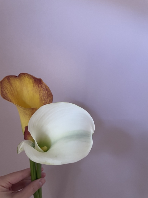 3月は“ゆらぎ”の季節🌸🍃