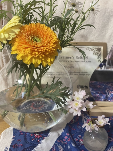 美しさの定義🪽✨