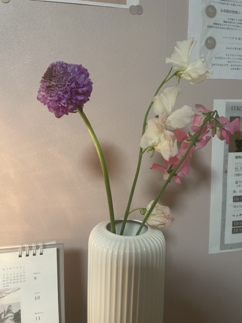 自律神経について🕊️