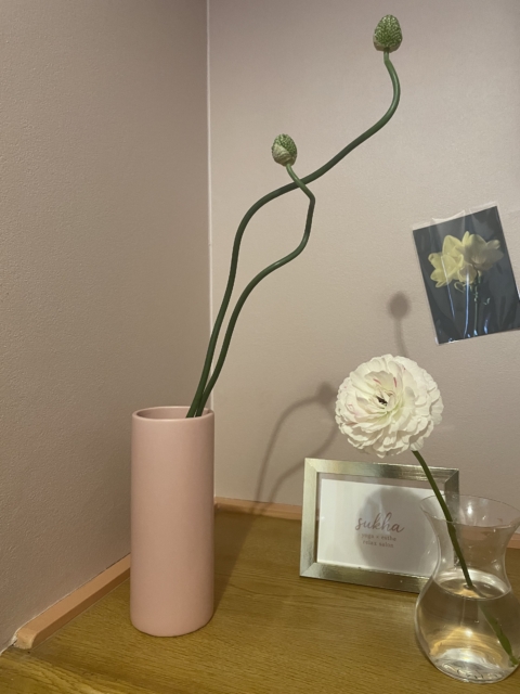 植物に囲まれると女性が整う理由🌸🪻🥀