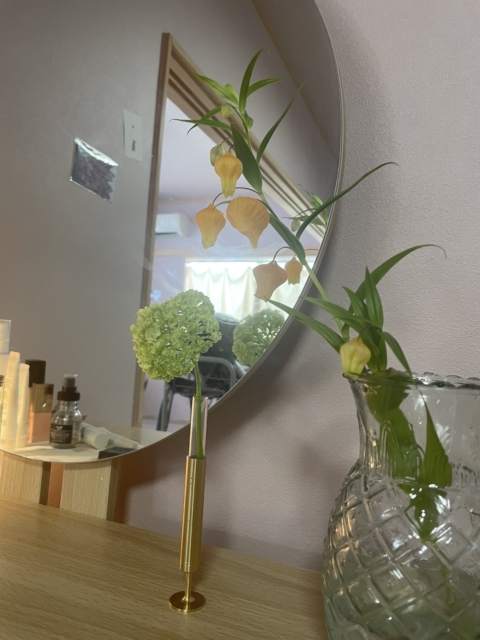 植物と呼吸の関係🌿✨