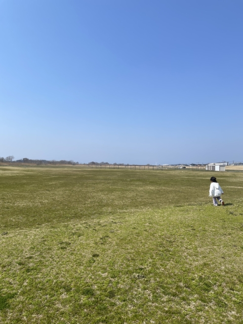  4月、新しい流れのはじまり🌸