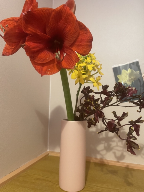 sukhaの女性像🥀🍑