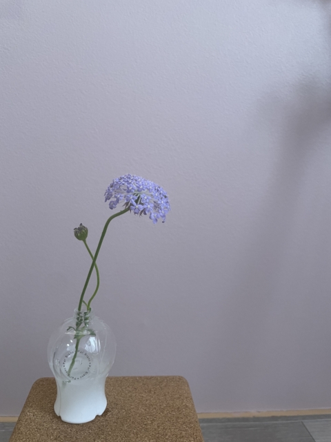 変えられるのは、自分だけ🕊️