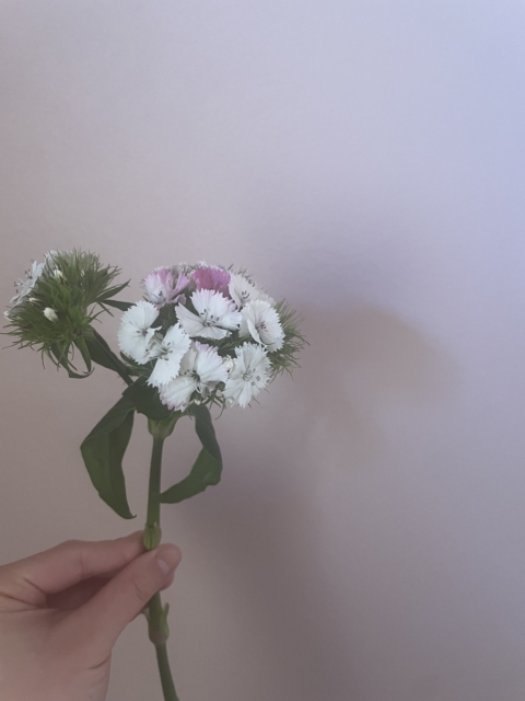 ふぅと力が抜ける瞬間に。