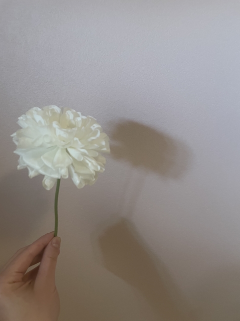 幸せをありがとうございます🪻🌷