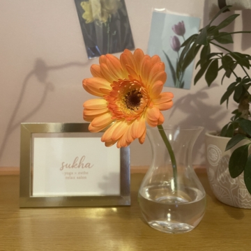 幸せは、静かに連鎖していく🪻🌼🌷