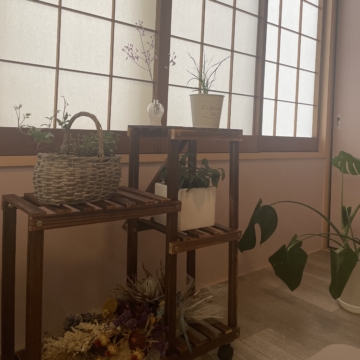 呼吸を思い出すだけで🌿