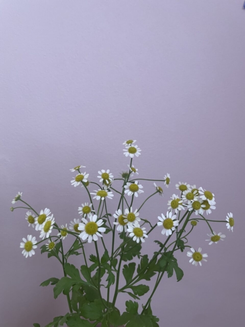 しあわせは、もうここにある..🦋🫧